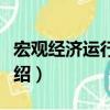 宏觀經濟運行分析（關于宏觀經濟運行分析介紹）