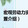 宏觀勞動力資源配置（關于宏觀勞動力資源配置介紹）