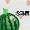 念珠菌尿（關于念珠菌尿介紹）