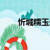 忻城糯玉米（關于忻城糯玉米介紹）