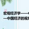 宏觀經濟學——中國經濟的視角 第2版（關于宏觀經濟學——中國經濟的視角 第2版介紹）