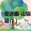 捉迷藏-山貓和吉咪（關于捉迷藏-山貓和吉咪簡介）