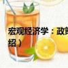 宏觀經濟學：政策與實踐（關于宏觀經濟學：政策與實踐介紹）