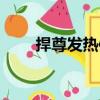 捍尊發熱體（關于捍尊發熱體簡介）