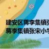 建安區蔣李集鎮張宋小學雛鷹學生志愿服務隊（關于建安區蔣李集鎮張宋小學雛鷹學生志愿服務隊介紹）