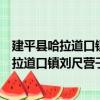建平縣哈拉道口鎮劉尺營子村志愿服務小隊（關于建平縣哈拉道口鎮劉尺營子村志愿服務小隊介紹）