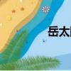 岳太陽（關于岳太陽簡介）