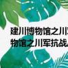 建川博物館之川軍抗戰/書上博物館系列叢書（關于建川博物館之川軍抗戰/書上博物館系列叢書介紹）