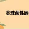 念珠菌性唇炎（關于念珠菌性唇炎介紹）