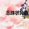 念珠狀異脈蕨（關于念珠狀異脈蕨介紹）