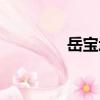 岳寶增（關于岳寶增簡介）