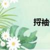 捋袖子（關于捋袖子簡介）