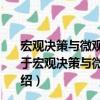 宏觀決策與微觀運行信息集約化及可視化建模方法研究（關于宏觀決策與微觀運行信息集約化及可視化建模方法研究介紹）