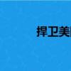 捍衛美國（關于捍衛美國簡介）
