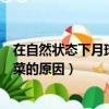 在自然狀態下月球上能不能種菜（在自然狀態下月球不能種菜的原因）