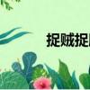 捉賊捉臟（關于捉賊捉臟簡介）