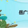 岳廣歧（關于岳廣歧簡介）