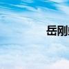 岳剛端（關于岳剛端簡介）