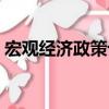 宏觀經濟政策論（關于宏觀經濟政策論介紹）