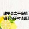 建平縣太平莊鎮干溝子村志愿服務小隊（關于建平縣太平莊鎮干溝子村志愿服務小隊介紹）
