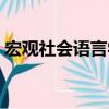 宏觀社會語言學（關于宏觀社會語言學介紹）
