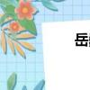 岳巍（關于岳巍簡介）
