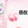 岳在文（關于岳在文簡介）