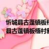 忻城縣古蓬鎮板梧村新時代文明實踐志愿服務隊（關于忻城縣古蓬鎮板梧村新時代文明實踐志愿服務隊介紹）