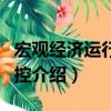 宏觀經濟運行與調控（關于宏觀經濟運行與調控介紹）