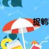 捉鵪鶉（關于捉鵪鶉簡介）
