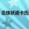 念珠狀諾卡氏菌（關于念珠狀諾卡氏菌介紹）