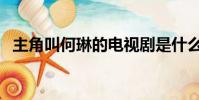 主角叫何琳的電視劇是什么(你有看過嗎)