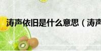 濤聲依舊是什么意思(濤聲依舊簡單介紹)
