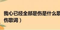 我心已經全部是傷是什么歌(我心已經全部是傷歌詞)