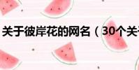 關于彼岸花的網名(30個關于彼岸花的網名)