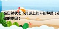 在自然狀態下月球上能不能種菜(在自然狀態下月球不能種菜的原因)