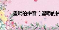 望哨的拼音(望哨的拼音及解釋)