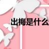 出梅是什么時候2021（2021出梅時間）