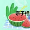 宗子相集（關于宗子相集介紹）