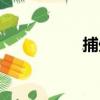 捕處（關于捕處簡介）