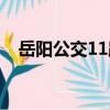 岳陽公交11路（關于岳陽公交11路簡介）