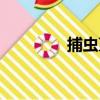 捕蟲堇（關于捕蟲堇簡介）