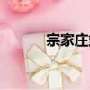 宗家莊站（關于宗家莊站介紹）