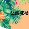 岳池洗馬河（關于岳池洗馬河簡介）