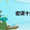 宏謀十約（關于宏謀十約介紹）