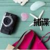 捕諜記（關于捕諜記簡介）