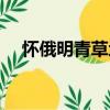 懷俄明青草地（關于懷俄明青草地介紹）