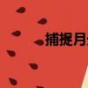 捕捉月光（關于捕捉月光簡介）