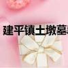 建平鎮土墩墓群（關于建平鎮土墩墓群介紹）