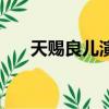 天賜良兒演員表（這部劇講的是什么）